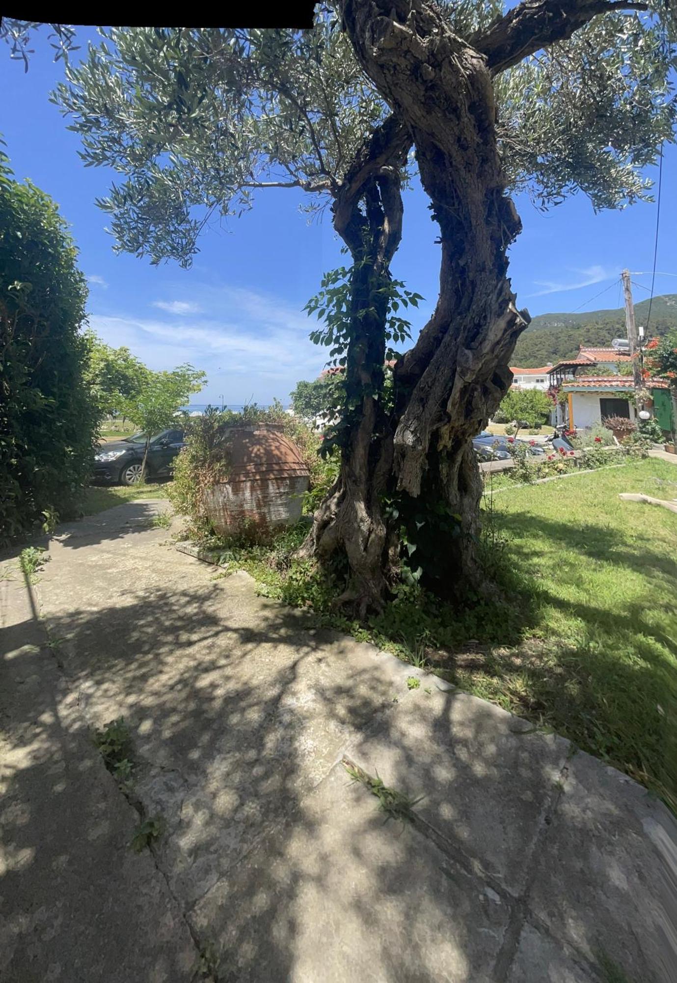 Apartamento Eleni Del Sol Skopelos Exterior foto